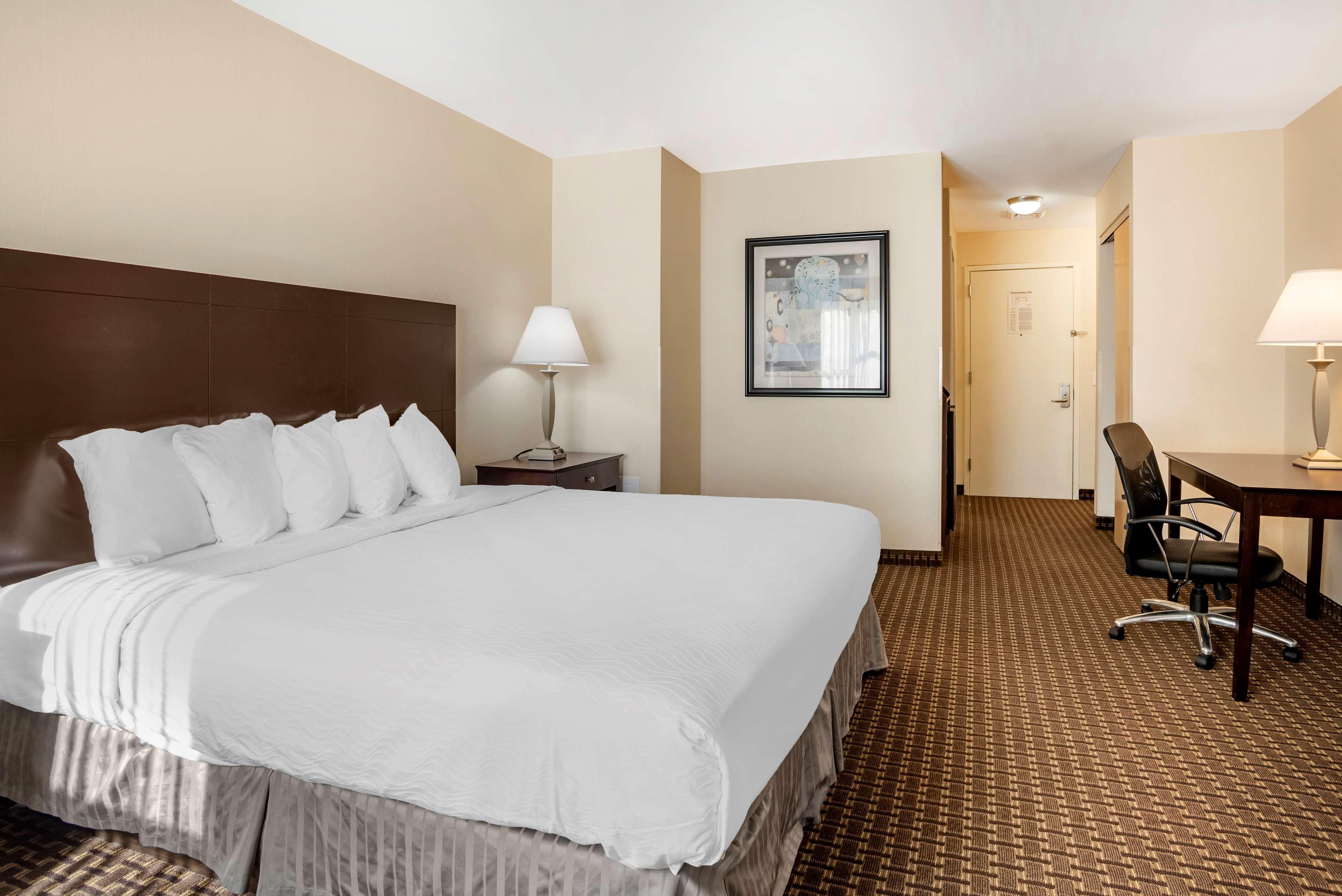 Best Western Plus Philadelphia Airport South - At Widener University Chester Esterno foto
